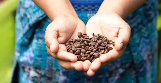 Coffee Beans, Costa Rica