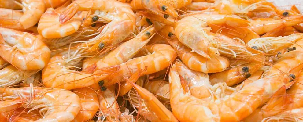 Prawns