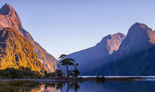 Discover New Zealand